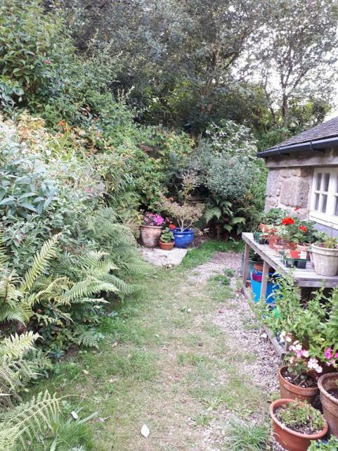 Borea Barn Vegetarian B&B St Ives  Luaran gambar