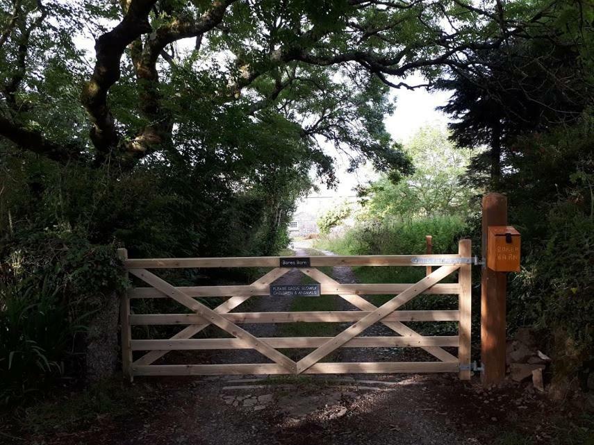 Borea Barn Vegetarian B&B St Ives  Luaran gambar